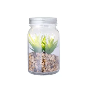Planta Decorativa Kira